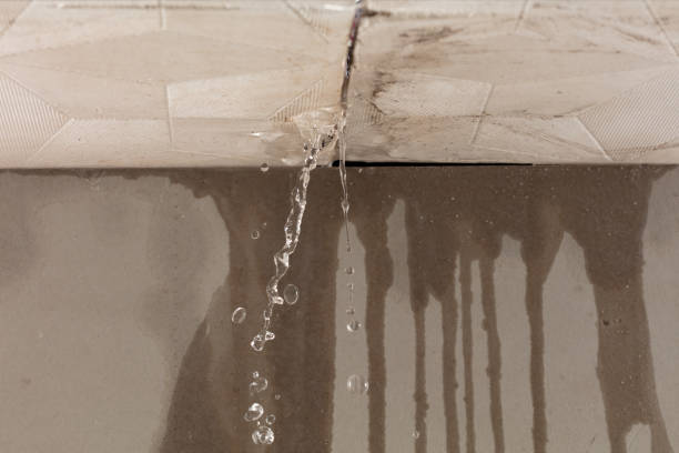 Professional Burst Pipe Cleanup technician working in Kellogg, IA